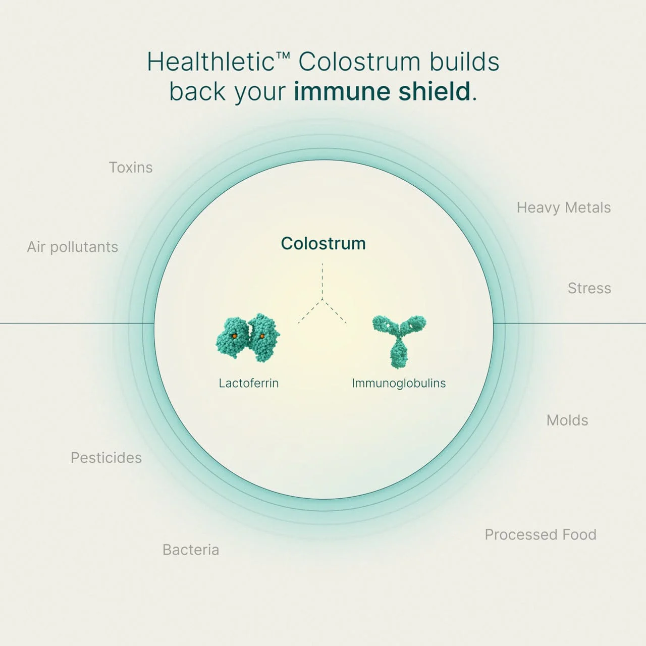 Healthletic™ Daily Colostrum | VIP 6+6 New Year’s Deal - Image 9