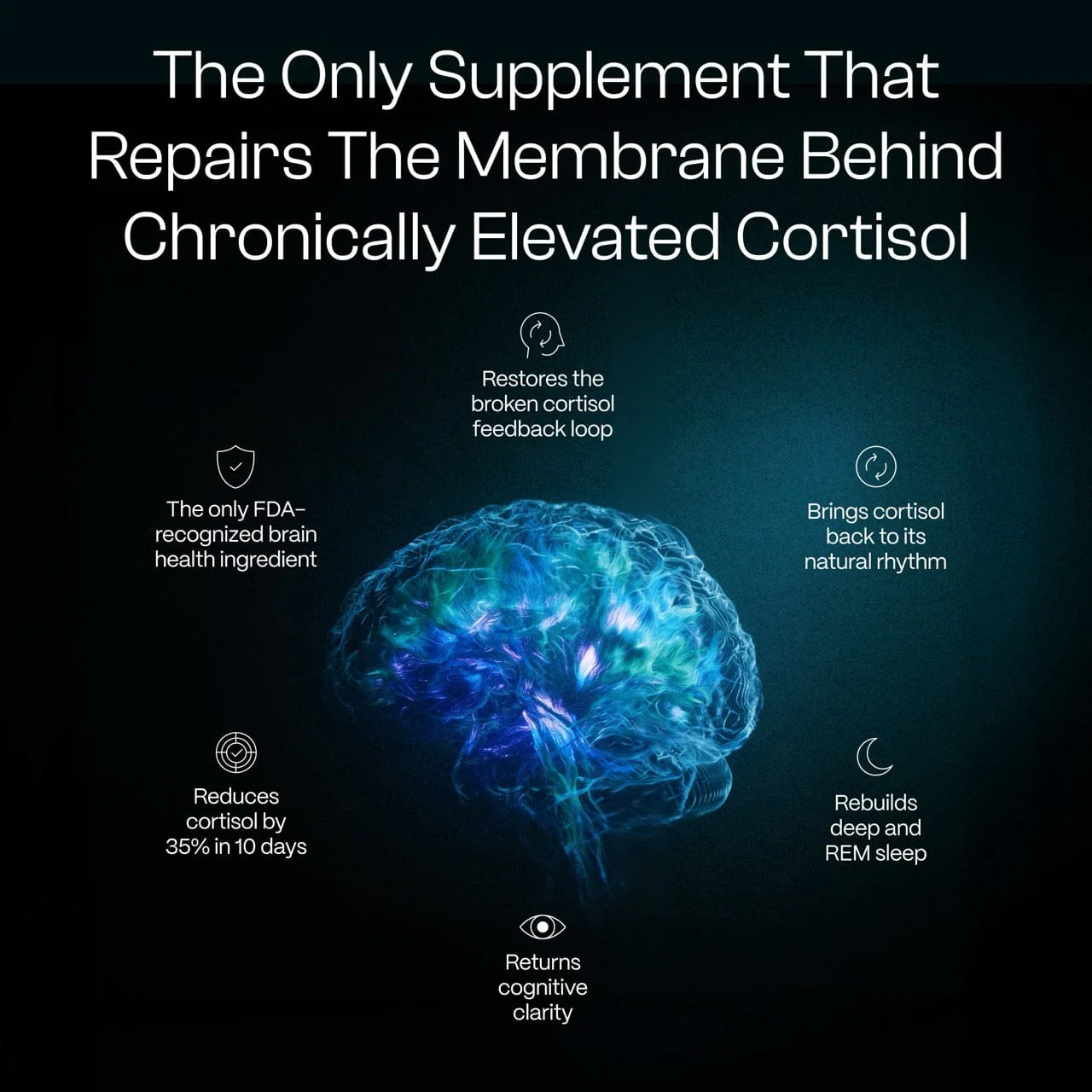 Ultimate Phosphatidylserine - Image 5